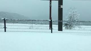 【雪！雪！雪！雪が積もる駅】JR琵琶湖線（近江塩津→余呉間）