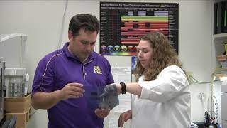 Research at LSU Health Shreveport