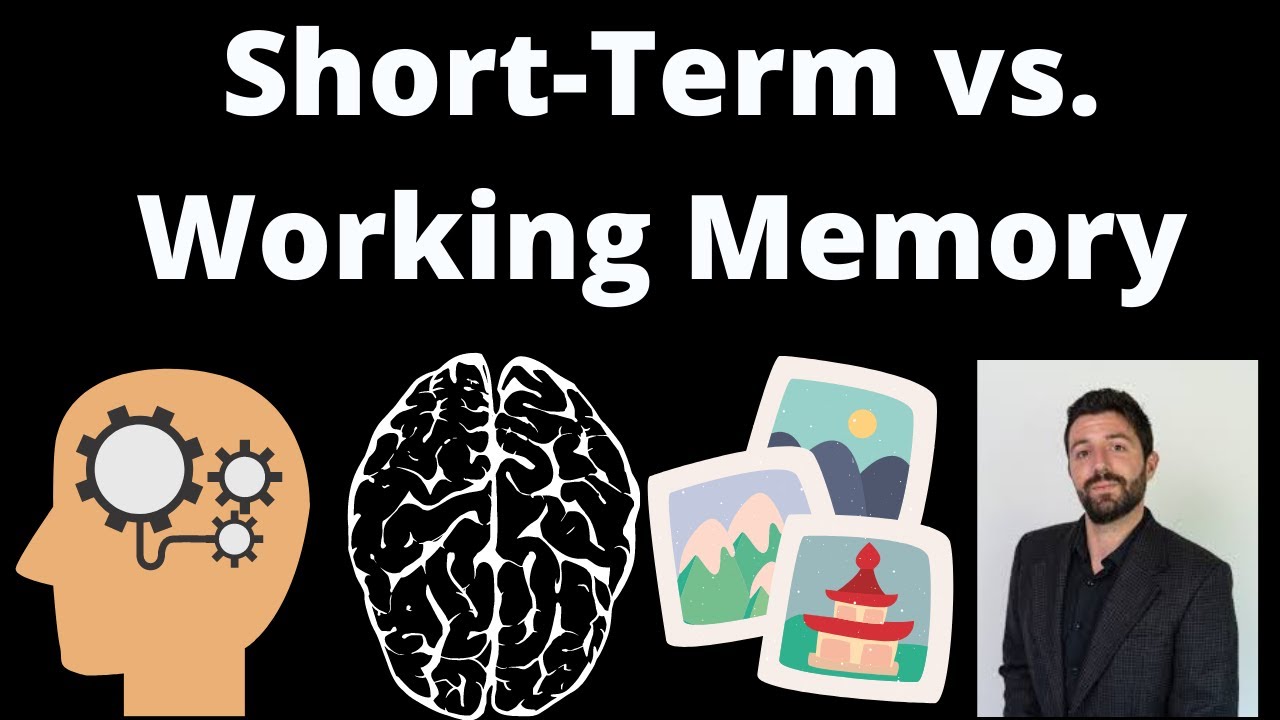 Igualdad Relajante Fatal Working Memory Vs Short Term Memory Firma Igualdad Relajante Fatal Working Memory Vs Short Term Memory Firma