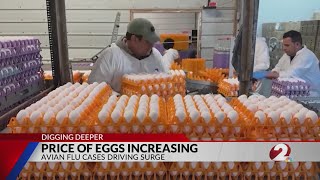 Local restaurants hurting due to price hikes caused by avian flu