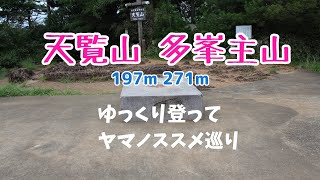 天覧山・多峯主山 ゆっくり登ってヤマノススメ巡り 2021年8月