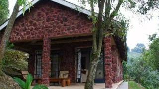 Clouds Mountain Gorilla Lodge with Imagine Africa