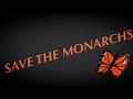 save the monarchs ally jankelson