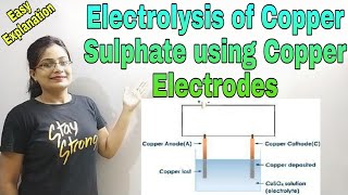 DG Pathshala|| Electrolysis of CuSO4 Using Copper Sulphate|| Class-10 ICSE/CBSE Chemistry #Semister1