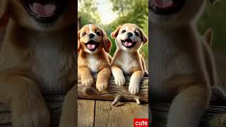 #puppy #puppyentertainment #dog #cute #doglover #puppydog #youtubeshorts #shortvideo #trending #cute