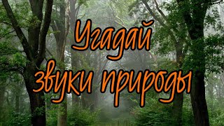 Угадай звуки природы