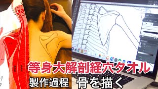 【肩甲骨描写】等身大の骨格と人体が透けてみえるイメージ（等身大解剖経穴タオル製作過程とリタジネン解剖経穴講座）