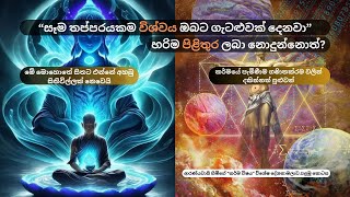 සෑම තප්පරයකම විශ්වය ඔබට ගැටළුවක් දෙනවා,එය ඔබේ කර්මයයි.ආරණ්‍යවාසී හිමිගේ