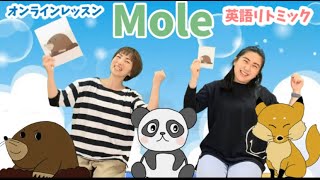 【オンラインレッスン：英語リトミック】（2020.11月ハイライト）#動画　#オンライン　#英語リトミック　#動画配信　#にこにこ教室　#おうちでにこにこ