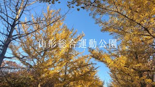 山形総合運動公園/紅葉