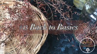 #15 Back to basics / Catch and Store Energy /  パーマカルチャーの原則2 エネルギーの獲得と貯蓄 #permaculture #newzealand