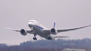 ✈️ Watch The FIRST Time ANA Takeoff From Stockholm Arlanda Airport in 4K