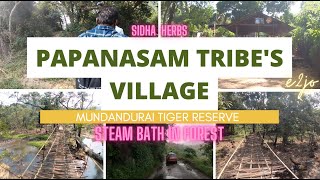 Papanasam_Tribes Village \u0026 Tribes traditional herbal_Treatment_English