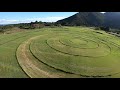 朝霧高原 猪之頭 　アーベントフライト　 スカイ朝霧