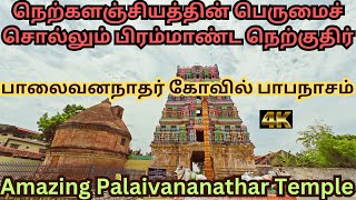 🙏பாலைவனநாதர் சிவனும் நெற்களஞ்சியமும் 🙏AMAZING PALAIVANANADHAR TEMPLE AND NERKALANJIYAM🙏