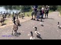 watermead country park leicester uk യുകെയിലെ 350 acre ലാൻഡ് ഏരിയയിലെ തടാകങ്ങളുടെ മനോഹര കേന്ദ്രം