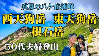 【天狗岳】夏の八ヶ岳は最高！歩きやすく稜線が美しい【根石岳】