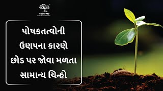 પોષકતત્વોની ઉણપના કારણે છોડ પર જોવા મળતા સામાન્ય ચિન્હો By Khedutpay Agronomy Service