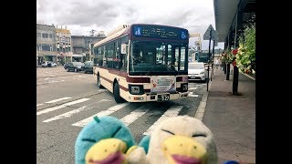 イコちゃん 側面展望 京福バス 芦原温泉駅～あわら湯のまち駅