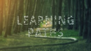 Welcome to O'Reilly Learning Paths