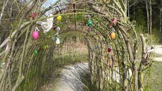 Weidentunnel und  Bäume im Moor