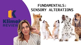 FUNDAMENTALS SENSORY ALTERATIONS