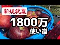 【新規就農】資金はいくら必要か？「長野県りんご農家」