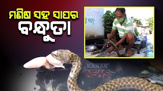 Astonishing! Snakes Seen Eating Unimportant Fish Parts In Banki