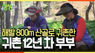 [숲 속의 작은 집] 해발 800m 산골에서 산나물을 키우는 귀촌 12년 차 부부 KBS 230403 방송