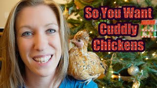 How to Train Your Chickens to Like You