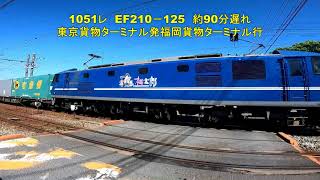 東洋紡前踏切を通過する2082レ　5055レ　77レ　1051レ　遅れ90分　8月20日