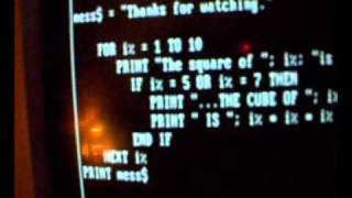 QBasic Program with Loop and If statement