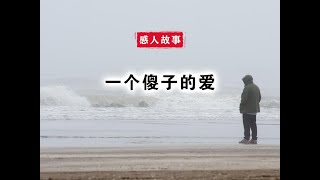 感人故事《一个傻子的爱》 #感人故事