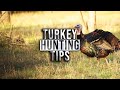 Crossbow Turkey Hunting Considerations