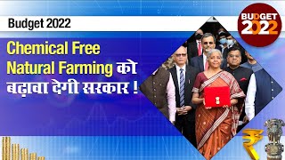 Budget 2022: 'रसायन मुक्त प्राकृतिक खेती को बढ़ावा देगी सरकार', निर्मला सीतारमण का बजट में ऐलान!