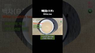 백차(白茶) : 화이트 티(White tea)