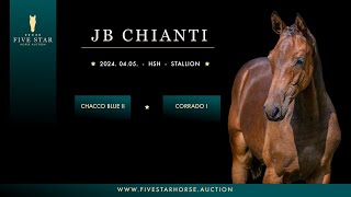 JB Chianti (Chacco Blue II - Corrado I) 2024. HSH stallion