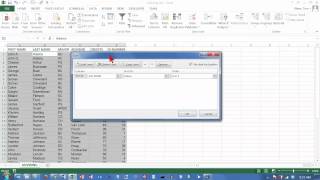 Excel 2013 Sorting 02: Sorting on Multiple Key Fields