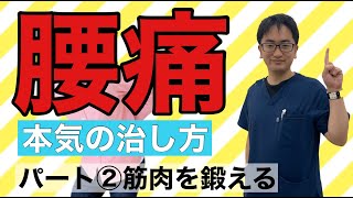 【腰痛】本気の治し方 No 2筋肉をトレーニング　【腰痛 ぎっくり腰 撲滅】整体院Honesty−オネスティ 大和市南林間駅東口徒歩1分、中央林間駅電車１分