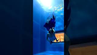 人魚の動画 Mermaid swim【マーメイドスイム】