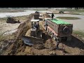 Awesome Mighty Power Bulldozer Working Pushing Dirt with Dump Truck Unloading Dirt Update Project