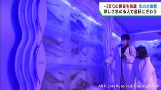 連日の猛暑で氷の水族館が人気　マイナス２０℃を体感　宮城・気仙沼市