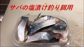 《釣り餌》簡単サバの塩漬け作り方