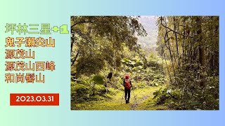 坪林三星+1(鬼子瀨尖山-源茂山-源茂山西峰-和尚髻山)2023.03.31