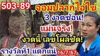 503รีบดู!#แม่นจริง!3งวดซ้อน#จอมปลวกกุมารไอ้ไข่ งวดนี้#ล้านแตกแน่!เลขใบหน้าโผล่ชัด!อย่าลืม!16/7/67