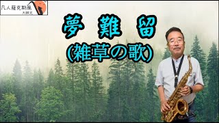 夢難留(雑草の歌)-凡人薩克斯風(朝陽演奏)