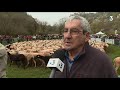 début de la transhumance dans la vallée du lot