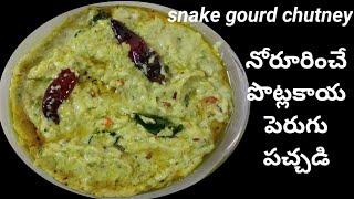 Potlakaya Perugu pachadi//snake gourd chutney//it's for foodies