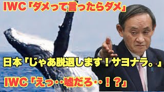 【海外の反応】日本をイジメてきたIWCが今更過ちに気づく。議長が大慌て！「辞めないで！」と各国に通告し始める！【にほんのチカラ】