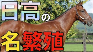 日高で熱い繁殖牝馬5選！産駒はデビュー時から要注目。